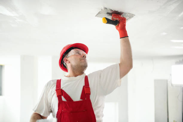 Best Repainting for Renovations  in Tangelo Park, FL